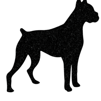 Boxer