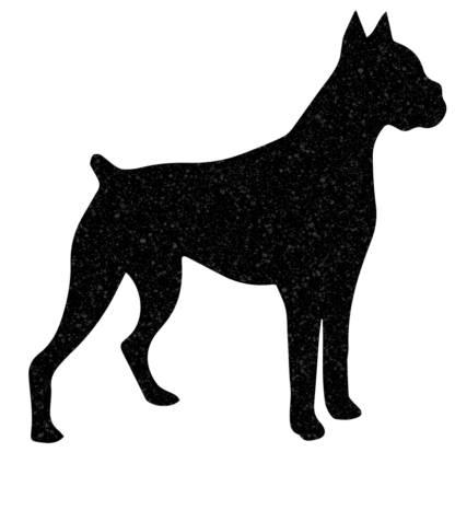 Boxer