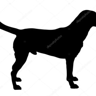 Lab Standing