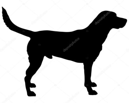 Lab Standing